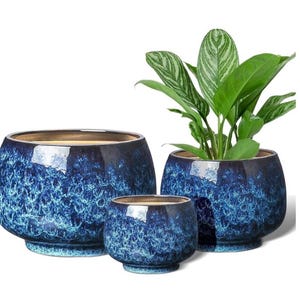 May include: Three round ceramic planters with a glossy, deep blue and turquoise reactive glaze finish. The pots feature a wide, bulbous shape with a tapered base. One planter contains a green leafy plant with light green striped foliage.