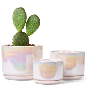 May include: Three cylindrical ceramic planters with a glossy, iridescent finish that reflects soft pastel colors. Each planter includes a matching circular saucer. A green prickly pear cactus is planted in the largest container.