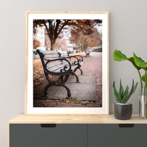 Boston Print - Wrought Iron Park Bench Photo - Commonwealth Avenue Mall Boston Photography Print