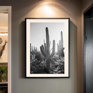 Black and White Cactus Print: Sonoran Desert Photography