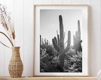 Saguaro Cactus Decor - Black and White Cactus Print Minimalist - Sonoran Desert Photography Print