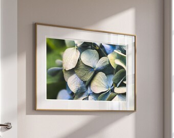 Blue Hydrangea Print, Fine Art Flower Photography, Nature Artwork