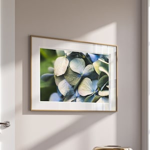 Hydrangea Print - Fine Art Flower Photography Wall Art - Nature Artwork - Muted Blue Flower Photo