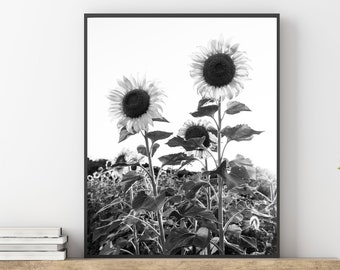 Black and White Sunflower Photography - Flower Print - Sunflower Picture Wall Art - Nature Photo Wall Decor - Sunflower Gift