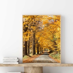 Nature Wall Art Print Trees - Vermont Fall Landscape Picture - Country Road Photography Art Print - Rustic Vermont Art
