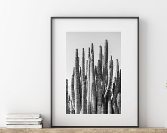 Cactus Print Minimalist - Desert Wall Art - Nature Photography Print Black and White - Cactus Decor Print