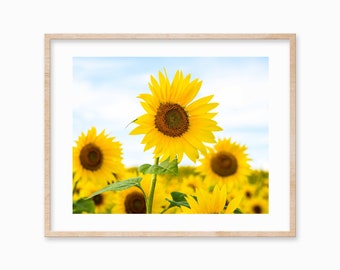 Sunflower Field Print - Summer Flower Photography Print - Nature Art Yellow - Floral Art Botantical Print