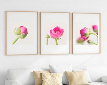 Set of 3 Hot Pink Floral Wall Art Prints - Flower Photography - Square Ranunculus Prints Set - Etsy Flower Pictures