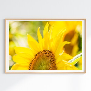 Close-up Sunflower Picture - Etsy Flower Photography Print Nature - Yellow Floral Wall Art - Sunflower Photography