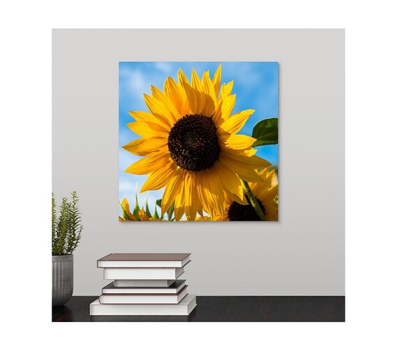 Sunflower Picture Photo Canvas Yellow Blue Flower Square Wall Art Etsy Dorm Room Decor Flower Floral Kitchen Decor Nature Print Gift