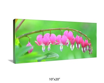 Hot Pink Flower Photography on Canvas - Bleeding Hearts Art Canvas - Hearts in Nature Photo Canvas Print - Pink Floral Wall Art Gift