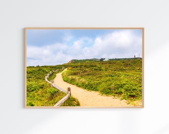 Moshup Beach Path Print, Aquinnah Martha's Vineyard, Lush Coastal Landscape Photography, Nature Wall Art for above the Living Room Sofa