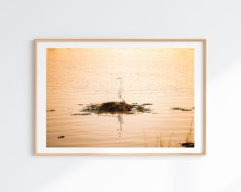 Great Egret Bird Photography Fine Art Print, Martha's Vineyard Seabird Wall Art, Minimalist Nature Artwork