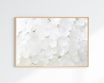 White Hydrangea Flower Print: Ethereal Floral Wall Art