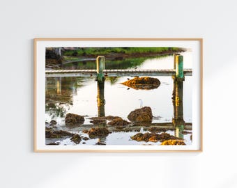 Peaceful Coastal Scenery Wall Art, Chilmark Massachusetts Photography Print, Snowy Egret Bird Artwork