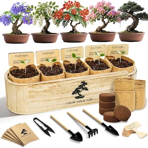 May include: A bonsai tree starter kit featuring five potted bonsai trees, a wooden planter box with the text GROW YOUR VIBE, five burlap pots with wooden plant markers, soil discs, gardening tools including shears, a shovel, and a rake.