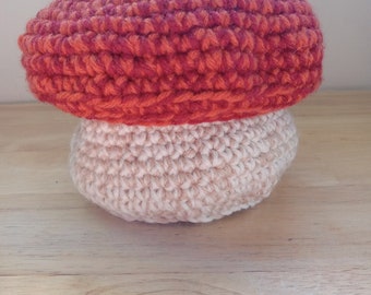 Perfect Autumn Mushroom Basket, hand made crochet