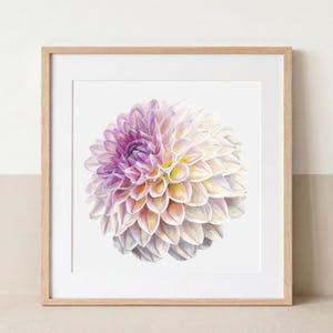 Op de afbeelding: Een ingelijste kunstdruk met een gedetailleerde aquarelillustratie van een dahlia-bloem. De dahlia vertoont een kleurverloop, variërend van dieppaars in het midden tot zacht lavendel, crème en lichtgeel op de buitenste bloemblaadjes.