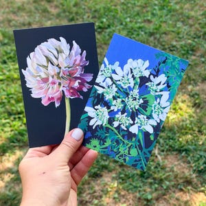 Hand holding two botanical postcards featuring a clover flower and white orlaya grandifolia on dark backgrounds.