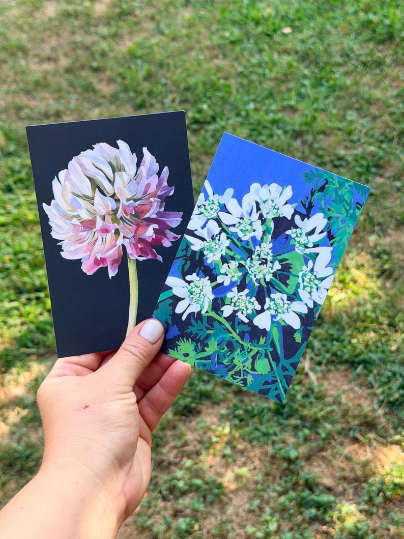Hand holding two botanical postcards featuring a clover flower and white orlaya grandifolia on dark backgrounds.