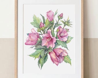 Blush Hibiscus – Rose von Sharon | Hochwertiger Kunstdruck