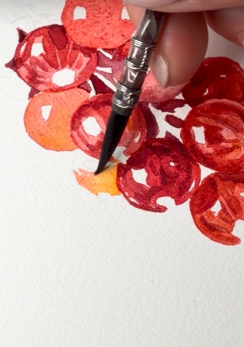 Close-up of the watercolor painting process while creating the original red currant botanical illustration. A paintbrush applies transparent watercolor layers to individual berries, building luminous colour, depth and highlights. The image shows the careful craftsmanship behind the artwork and the delicate glazing technique used to achieve a realistic botanical painting inspired by fruit from my own garden.