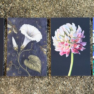 May include: Four rectangular art prints featuring botanical illustrations. The first shows a blue flower spike on black, the second a white morning glory with insects, the third a pink and white clover, and the fourth white lace flowers on blue.