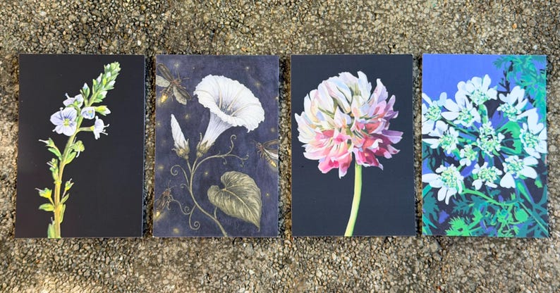 May include: Four rectangular art prints featuring botanical illustrations. The first shows a blue flower spike on black, the second a white morning glory with insects, the third a pink and white clover, and the fourth white lace flowers on blue.