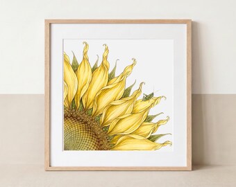 Sonnenblume und Grashüpfer | Hochwertiger Kunstdruck