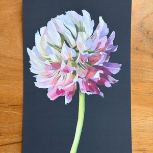 Botanical postcard featuring a pink and white clover flower painted on a dark background.