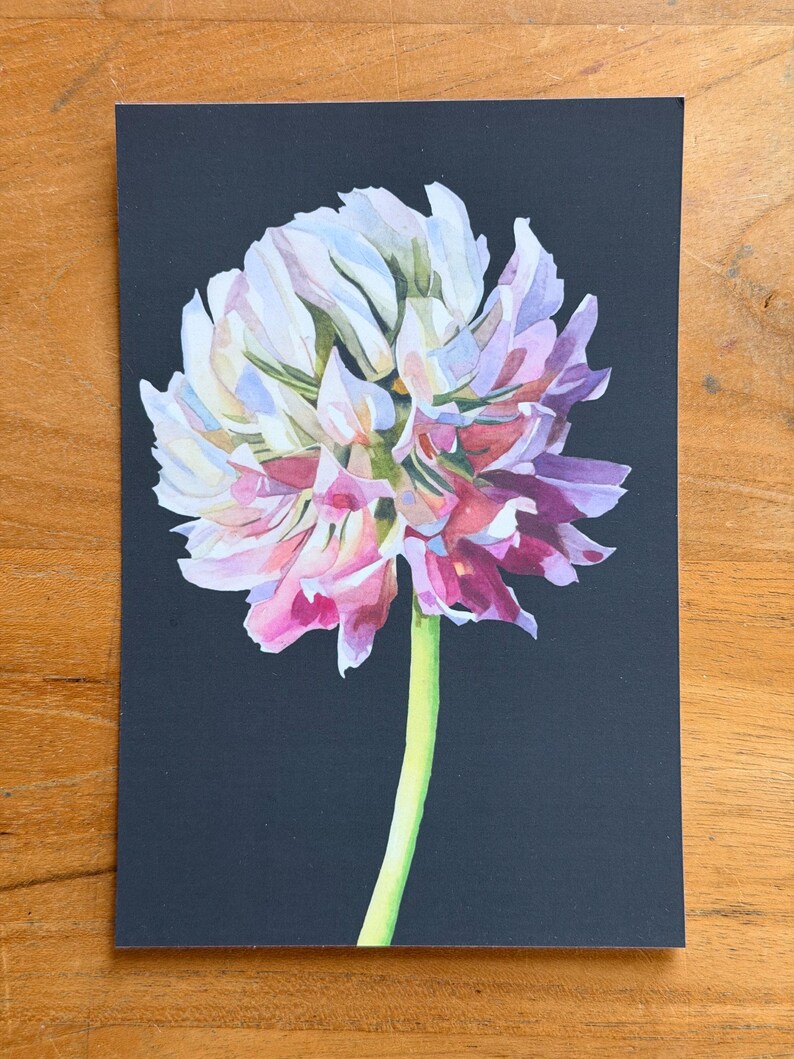 Botanical postcard featuring a pink and white clover flower painted on a dark background.