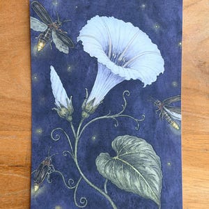 Botanical art postcard of a white moonflower surrounded by glowing fireflies against a deep blue background.