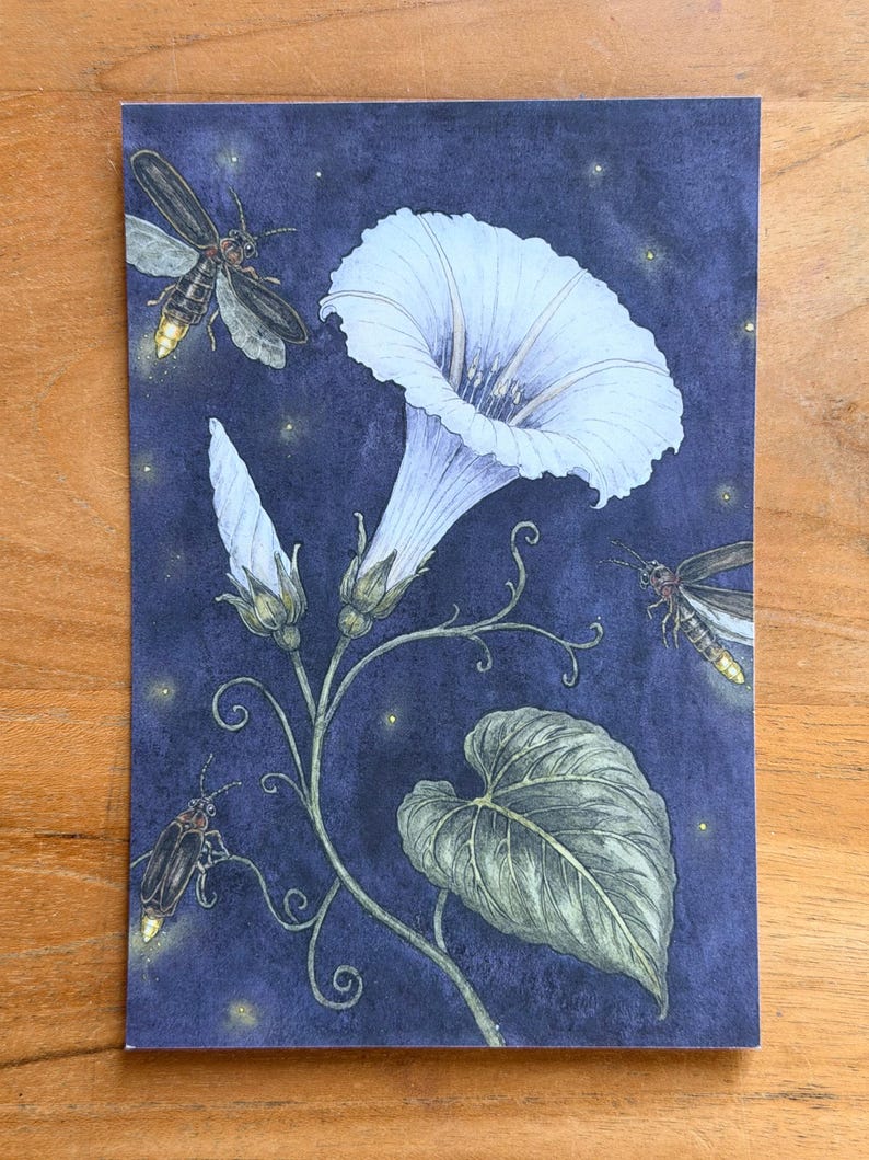 Botanical art postcard of a white moonflower surrounded by glowing fireflies against a deep blue background.