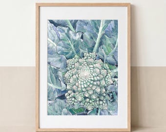May include: A framed watercolor painting of a Romanesco broccoli head with its characteristic fractal spiral pattern, rendered in shades of green, blue, and white, surrounded by large, textured leaves, all encased in a light-colored wooden frame.