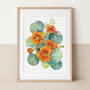 Op de afbeelding: Een ingelijste botanische print met een aquarelillustratie van feloranje en gele Oost-Indische kersbloemen met ronde groene bladeren. Het kunstwerk is geplaatst in een lichtgekleurde houten lijst en toont een gedetailleerd bloemstuk.