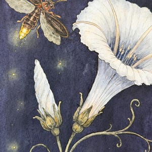 May include: A watercolor painting on a dark purple background featuring a glowing firefly with brown wings and a bright yellow abdomen. Beside it are white morning glory flowers with delicate green stems and buds, surrounded by small yellow light specks.