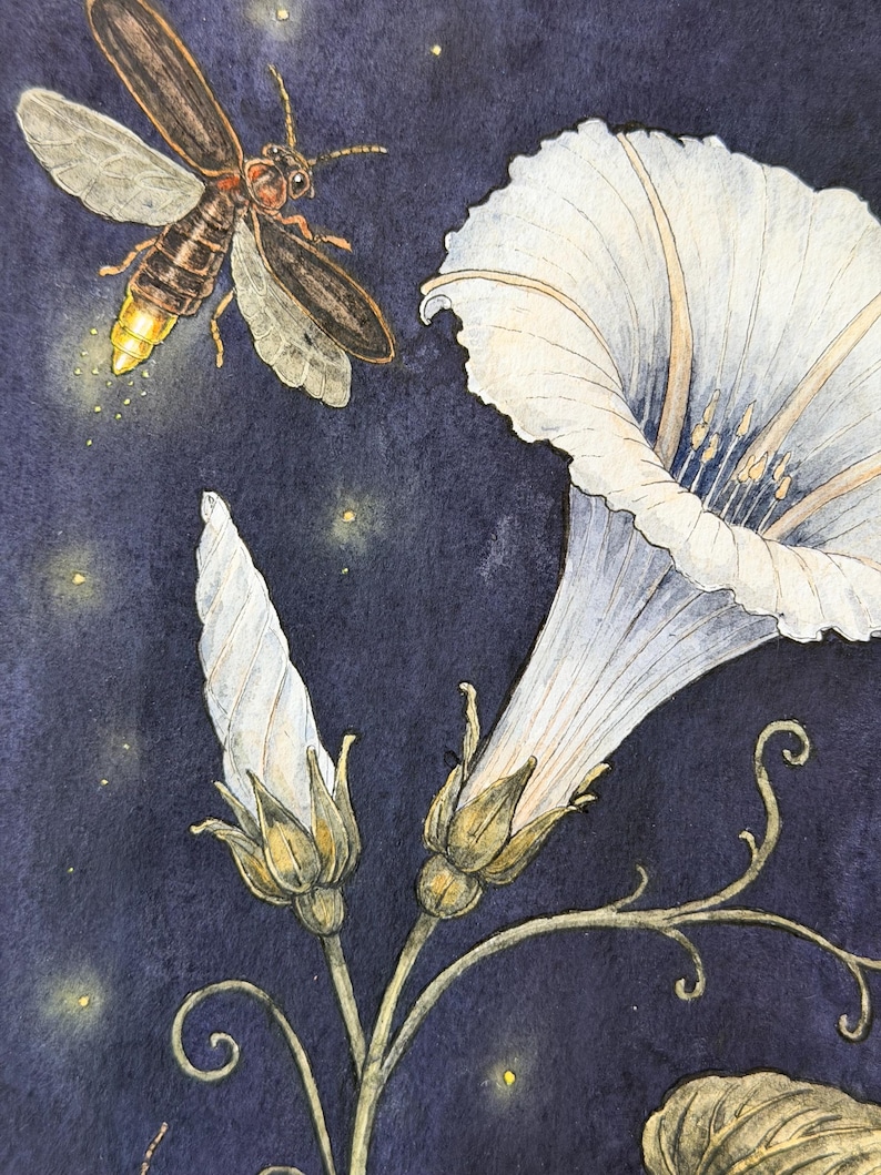 May include: A watercolor painting on a dark purple background featuring a glowing firefly with brown wings and a bright yellow abdomen. Beside it are white morning glory flowers with delicate green stems and buds, surrounded by small yellow light specks.