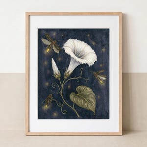May include: A framed art print featuring a white morning glory flower with a green leaf and stem against a dark navy blue background. Three fireflies with glowing yellow abdomens are depicted flying around the flower amidst small light dots.