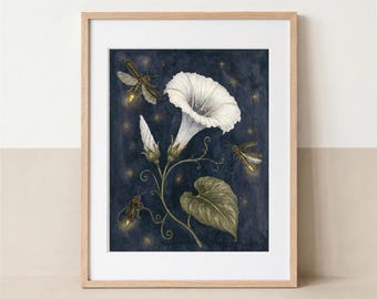 May include: A framed art print featuring a white morning glory flower with a green leaf and stem against a dark navy blue background. Three fireflies with glowing yellow abdomens are depicted flying around the flower amidst small light dots.