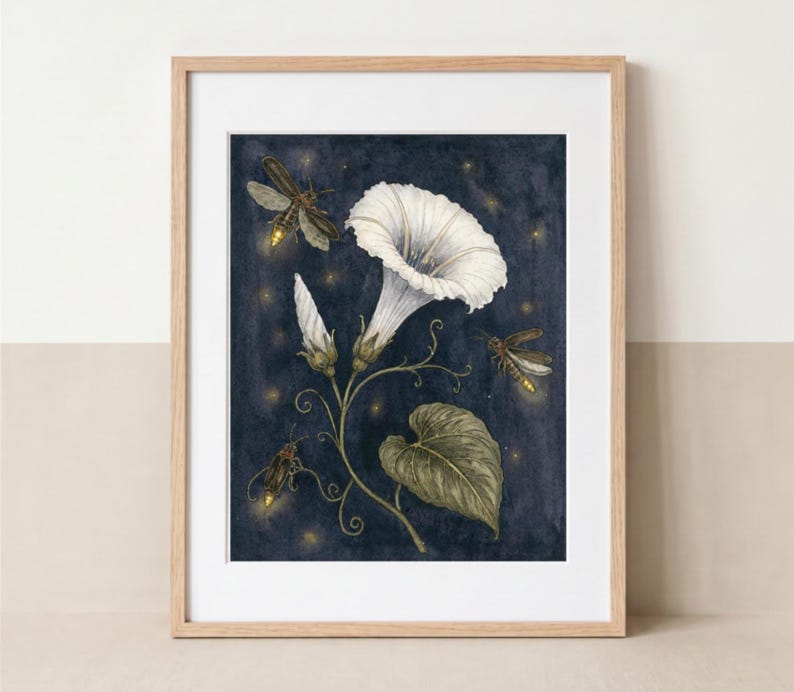 May include: A framed art print featuring a white morning glory flower with a green leaf and stem against a dark navy blue background. Three fireflies with glowing yellow abdomens are depicted flying around the flower amidst small light dots.