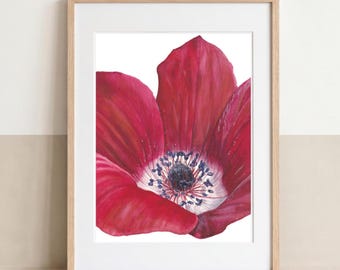 Rote Anemone | Hochwertiger Kunstdruck