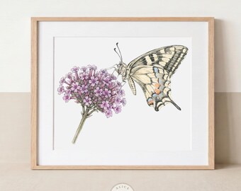 May include: A framed botanical art print featuring a detailed illustration of a swallowtail butterfly with cream, black, and orange markings perched on a cluster of small purple flowers. The artwork is encased in a light-toned wooden frame.