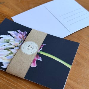 Bundle of four botanical art postcards wrapped with a kraft paper band and botanical logo sticker.