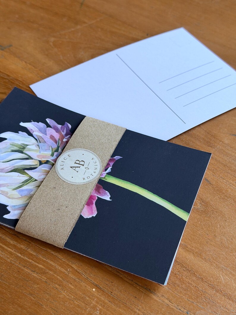 Bundle of four botanical art postcards wrapped with a kraft paper band and botanical logo sticker.