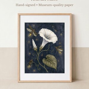 May include: A framed fine art print featuring a white morning glory flower, green leaves, and three fireflies against a dark blue starry background. The text reads: FINE ART PRINT Hand-signed &bull; Museum-quality paper. A circular logo reads ALICE AB BOTANICA.