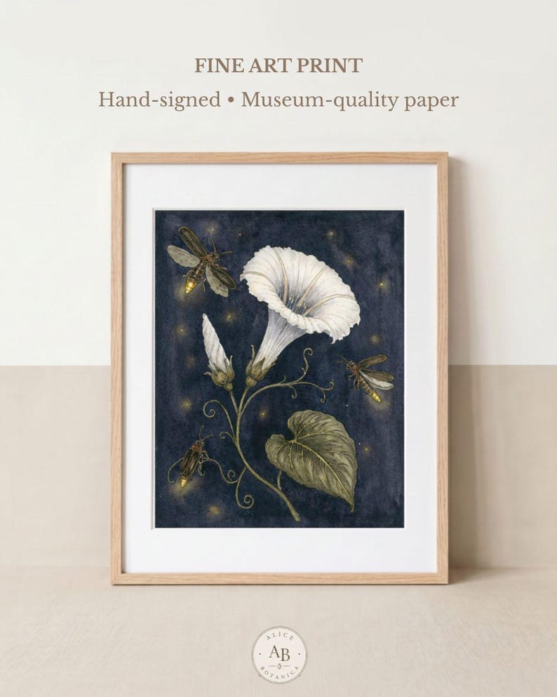 May include: A framed fine art print featuring a white morning glory flower, green leaves, and three fireflies against a dark blue starry background. The text reads: FINE ART PRINT Hand-signed &bull; Museum-quality paper. A circular logo reads ALICE AB BOTANICA.