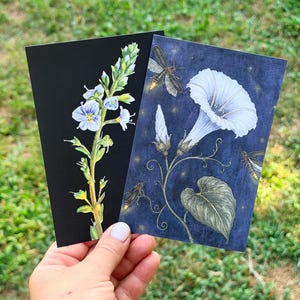 Hand holding two botanical art postcards featuring a speedwell flower and a moonflower with fireflies.