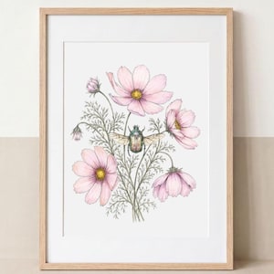 Op de afbeelding: Een ingelijste kunstdruk met een botanische illustratie van lichtroze cosmosbloemen met gele harten en groen blad, in het midden voorzien van een gedetailleerde metallic groene kever met gespreide vleugels op een witte achtergrond.