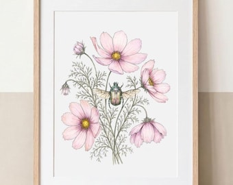 Kosmos und Cetonia | Archival Fine Art Print