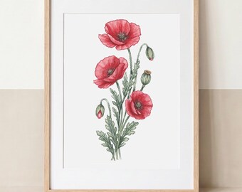 Mohnblumen | Botanischer Kunstdruck | Optionale handgeschnittene Aufkleber